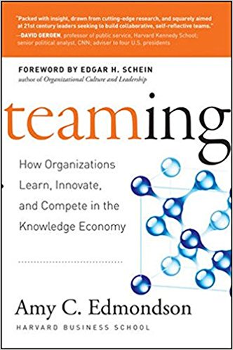 Teaming: How Organizations Learn, Innovate, and Compete in the Knowledge Economy